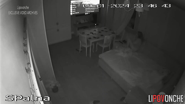 Night sex tape - couple fucking in doggystyle pose