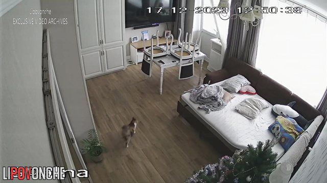 Sweet couple fucking in the living room in front of the TV