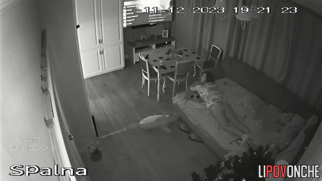  Spy Hidden Cam