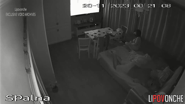  Spy Hidden Cam