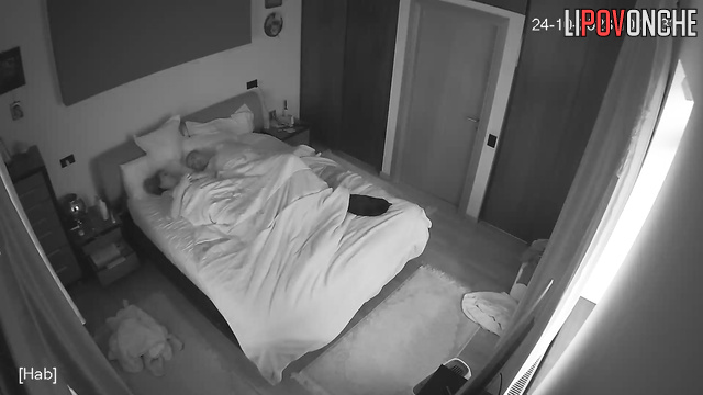 The couple had sex under the covers on the bed before going to sleep