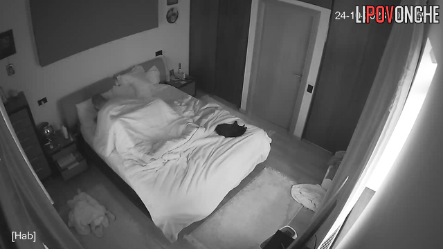 The couple had sex under the covers on the bed before going to sleep