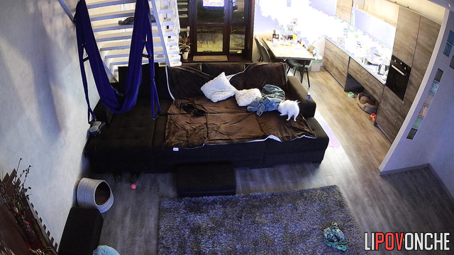 The couple fucked on the couch and sat down to dinner
