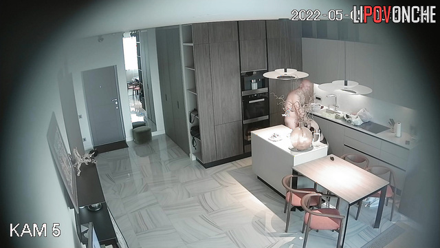  Spy Hidden Cam