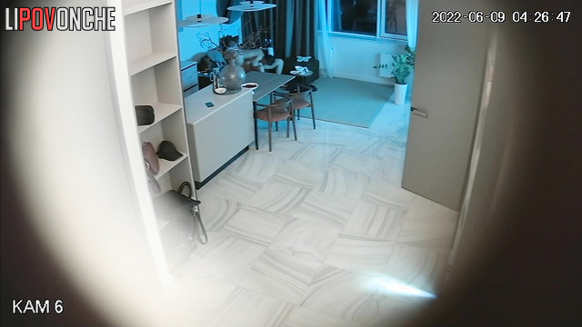Bald guy fucking his young lover so sweet in the living room