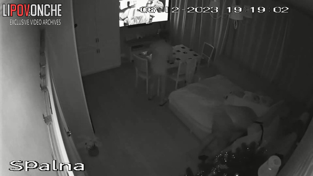 Couple having oral sex instead of TV watching