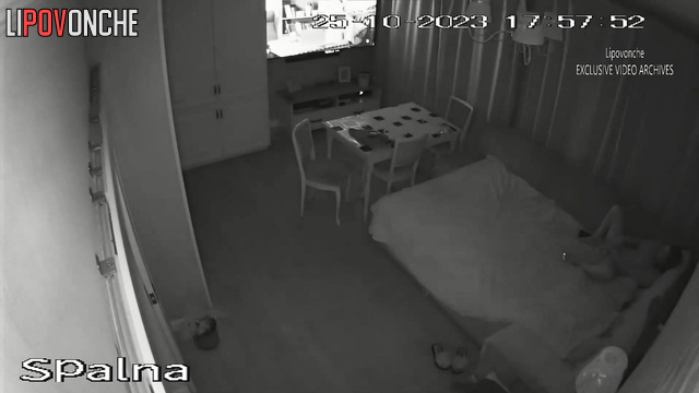  Spy Hidden Cam