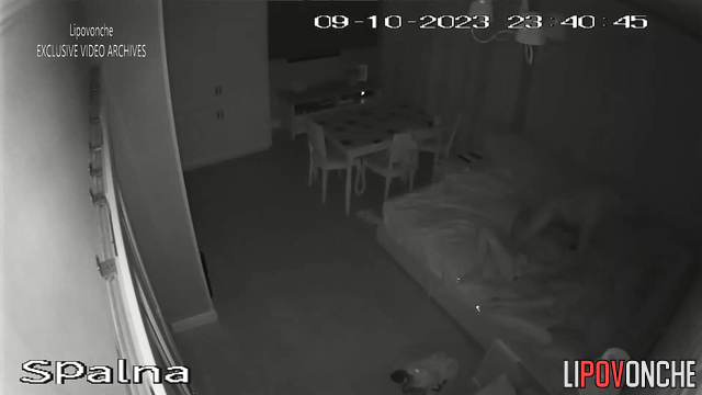  Spy Hidden Cam