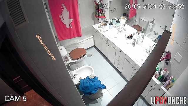 The girl visited the toilet and applied makeup in front of the mirror