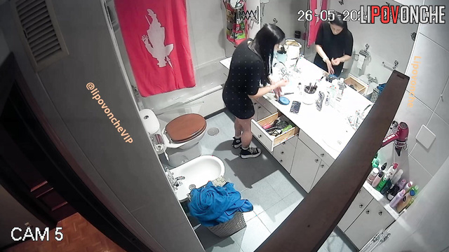 The girl visited the toilet and applied makeup in front of the mirror