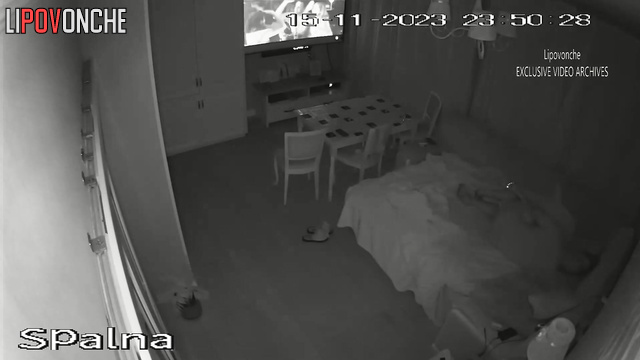  Spy Hidden Cam