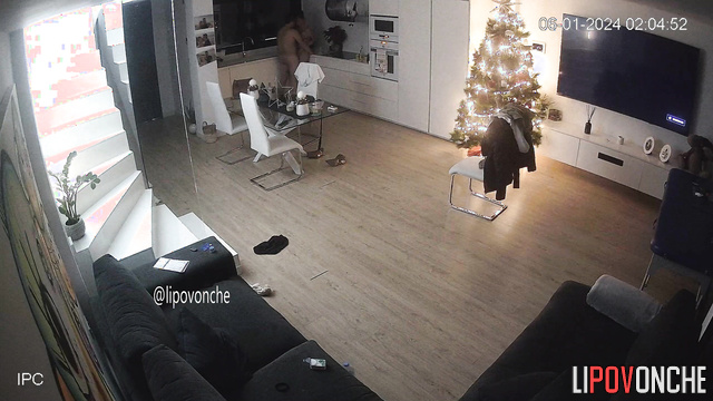 Couple fucked naked in the living room (on Christmas night)