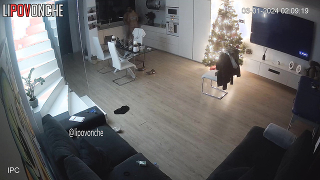 Couple fucked naked in the living room (on Christmas night)