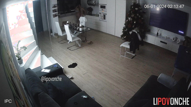 Couple fucked naked in the living room (on Christmas night)