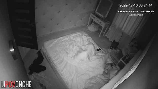 Pretty blonde sleeping sweet with her dogs, bedroom tape