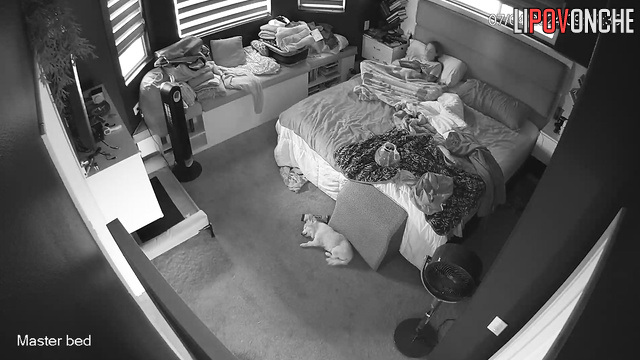 Young gir masturbating on porn with big cocks / hidden cam fixed it