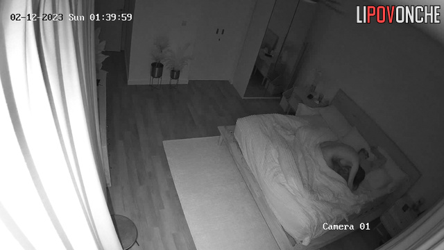 Hot missionary sex after long parting (bedroom cam)
