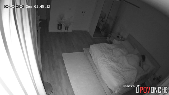 Hot missionary sex after long parting (bedroom cam)