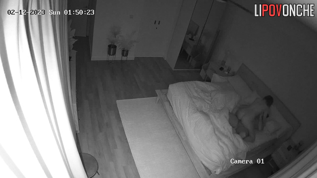 Hot missionary sex after long parting (bedroom cam)