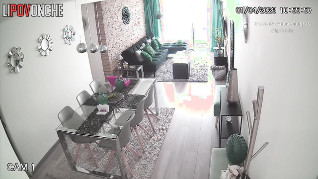  Spy Hidden Cam