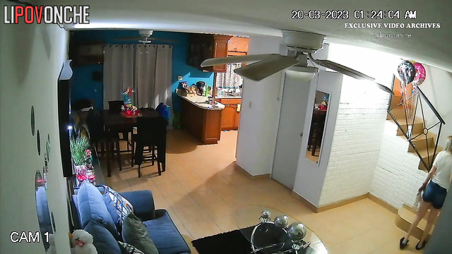  Spy Hidden Cam