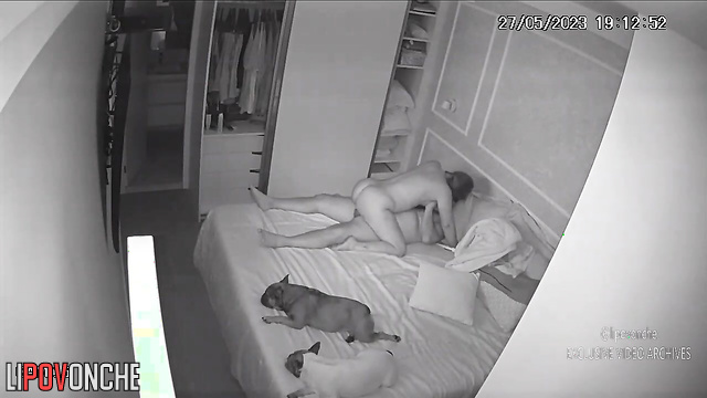 Big beauty woman enjoying caresses her chubby fucker