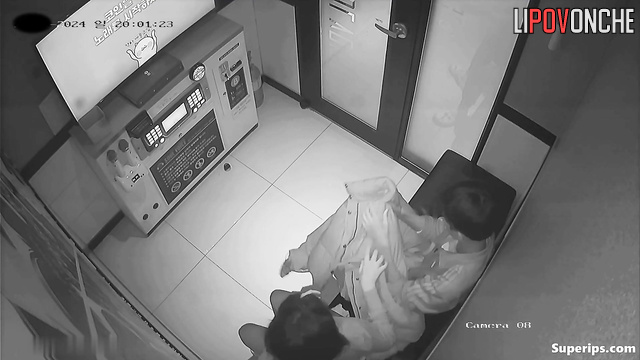  Public