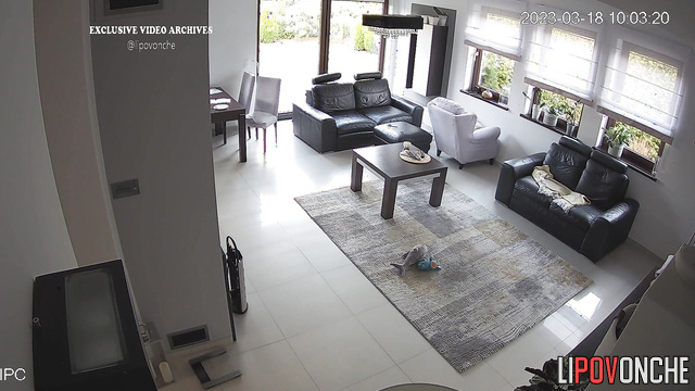 Blonde playing with her best friend in the living room