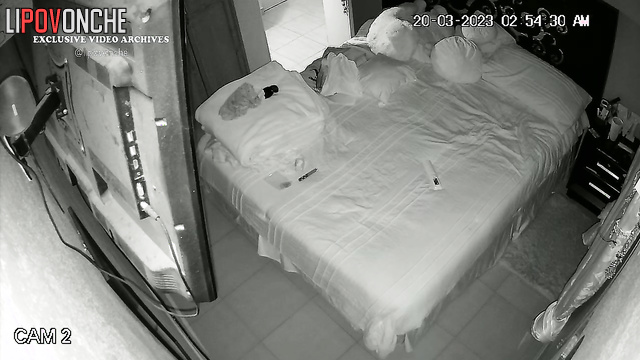 Naked people did it after dirty parting (hidden video)