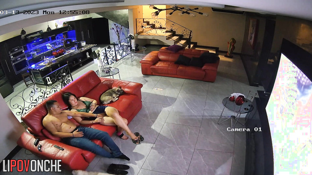  Spy Hidden Cam