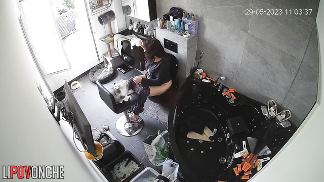 Brunette peeing and cutting his dog's hair (funny video)