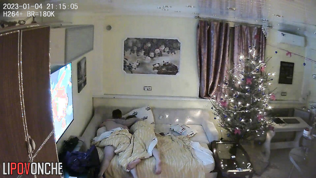Christmas home scene - couple chilling near a new year tree