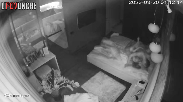  Spy Hidden Cam