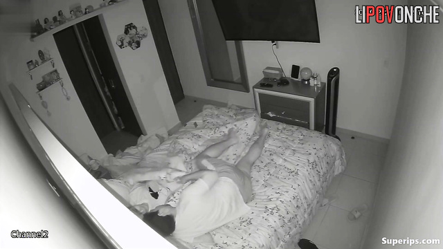 Couple enjoying their passion at the night (oral sex)