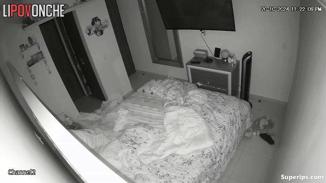 Couple enjoying their passion at the night (oral sex)