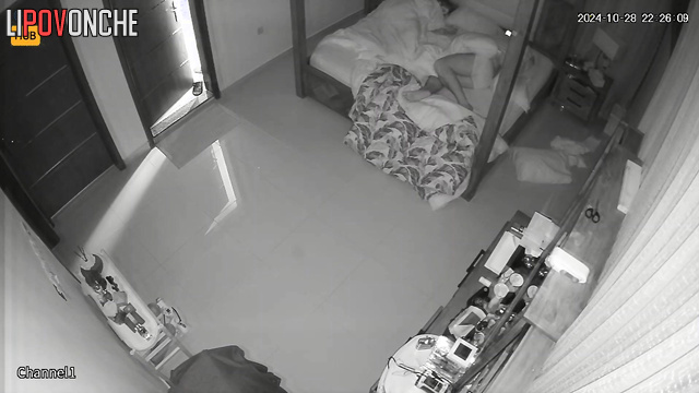  Spy Hidden Cam
