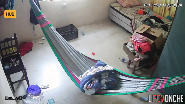 Something interesting happened in the huge hammock