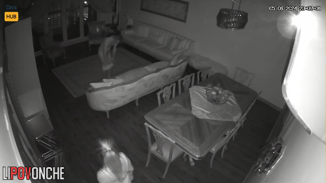 They fucked so hot that they moved the sofa from its place
