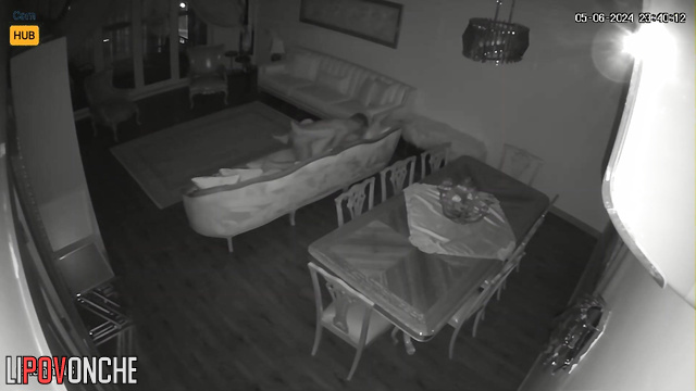 They fucked so hot that they moved the sofa from its place