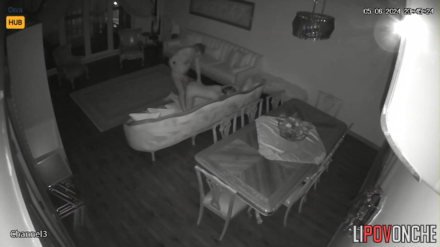 They fucked so hot that they moved the sofa from its place