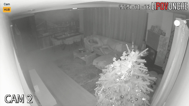 Thanks to hidden cam amazing sex of this passionate couple can be seen now