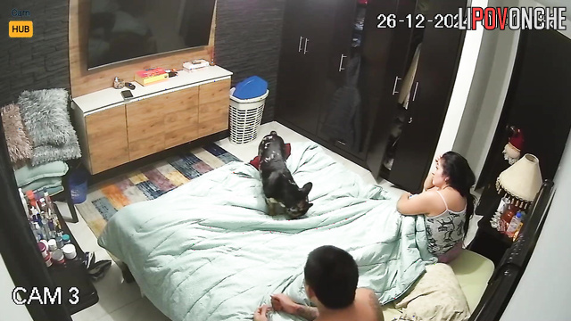Dogs watching their passionate fuck (hot bedroom video)