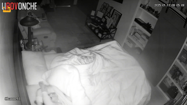 Hidden camera fixed sensual oral sex in the bedroom