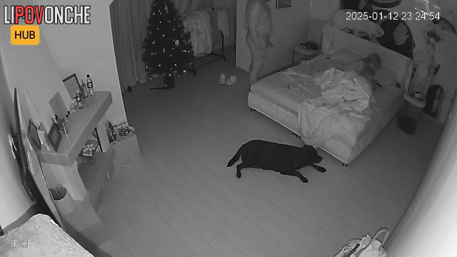  Spy Hidden Cam