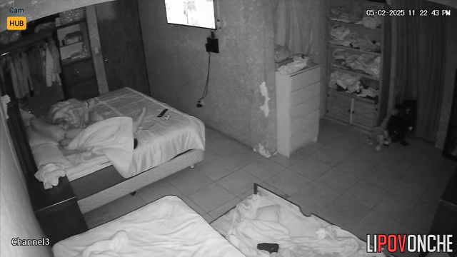 Their passionate love was fixed on camera in the night