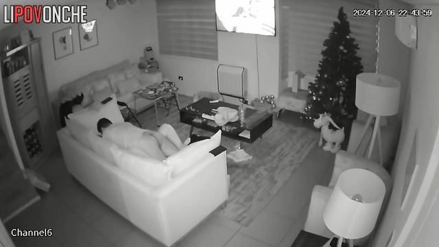  Spy Hidden Cam
