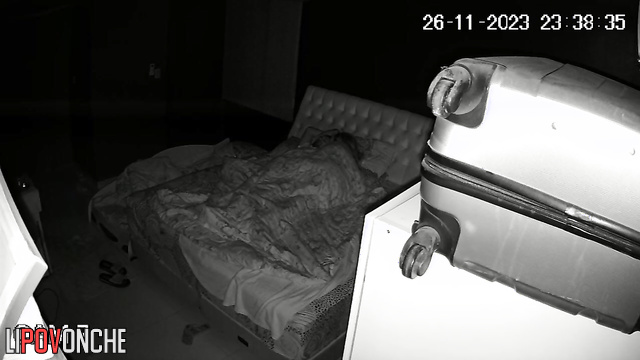 They have sex exclusively at night - hidden camera