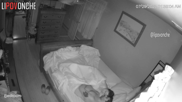  Spy Hidden Cam