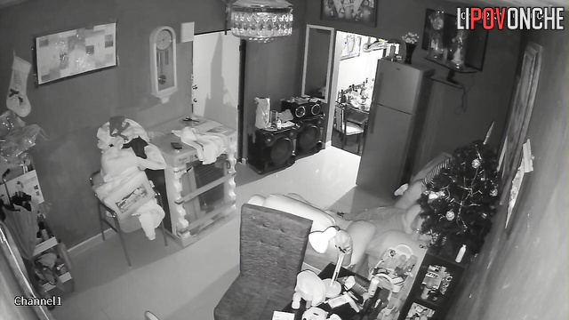 They do this whenever they have a break, living room cam