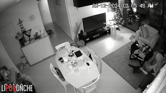  Spy Hidden Cam